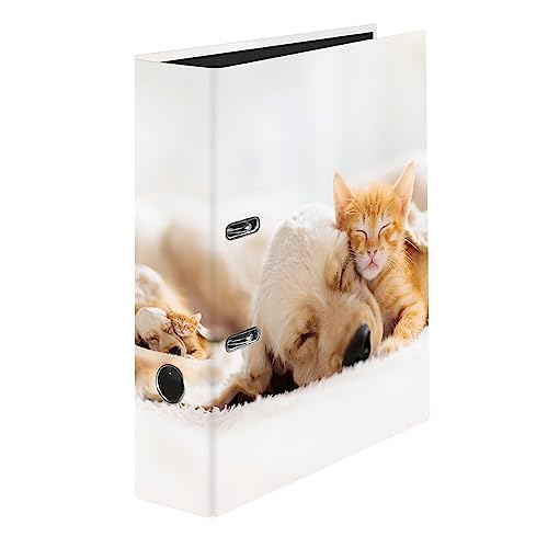 Original Falken Motiv-Ordner Pets. Made in Germany. 8 cm breit DIN A4 Ringordner Aktenordner Briefordner Plastikordner Motivordner Tiere Hund und Katze Original Falken Motiv-Ordner Pets. Made in Germany. 8 cm breit DIN A4 Ringordner Aktenordner Briefordner Plastikordner Motivordner Tiere Hund und Katze von FALKEN
