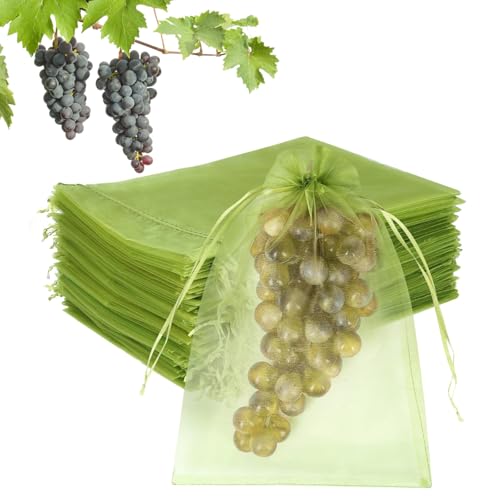 Traubenschutzbeutel,100 Stück Obst Schutzbeutel 20x15cm, Weintrauben Schutzbeutel mit Zugband, Organzabeutel Garten Netzbeutel zum Schutz vor Wespenfrass Vögel Kirschessigfliege und Andere Insekten Traubenschutzbeutel,100 Stück Obst Schutzbeutel 20x15cm, Weintrauben Schutzbeutel mit Zugband, Organzabeutel Garten Netzbeutel zum Schutz vor Wespenfrass Vögel Kirschessigfliege und Andere Insekten von FANGCCC