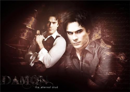 FANGMKJ DIY 5D Diamond Painting Kits for Adults Kids,The Vampire Diaries,Diamant MalereiSet Embroidery Pattern Round Cross Stitch Kit Mosaic Home Decor-15.7x19.7inch von FANGMKJ
