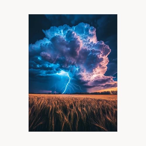 Malen Nach Zahlen Erwachsene, Malen Nach Zahlen Wolke, DIY Set Erwachsene mit Acrylfarben Set Leinwand Bilder WeiZenfeld 30x40cm Pinselset, Paint by Numbers, Zimmer Deko Geschenke für Frauen FYH-8664 Malen Nach Zahlen Erwachsene, Malen Nach Zahlen Wolke, DIY Set Erwachsene mit Acrylfarben Set Leinwand Bilder WeiZenfeld 30x40cm Pinselset, Paint by Numbers, Zimmer Deko Geschenke für Frauen FYH-8664 von FANLIGZU