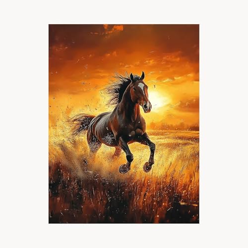 Malen Nach Zahlen Erwachsene Sonnenuntergang Malen Nach Zahlen Kinder Horse, Basteln Erwachsene Leinwand Bilder 70 x 50 cm, DIY Set mit Pinsel Acrylfarben Farbe Leinwand, Geschenke für Frauen FYH-3755 Malen Nach Zahlen Erwachsene Sonnenuntergang Malen Nach Zahlen Kinder Horse, Basteln Erwachsene Leinwand Bilder 70 x 50 cm, DIY Set mit Pinsel Acrylfarben Farbe Leinwand, Geschenke für Frauen FYH-3755 von FANLIGZU