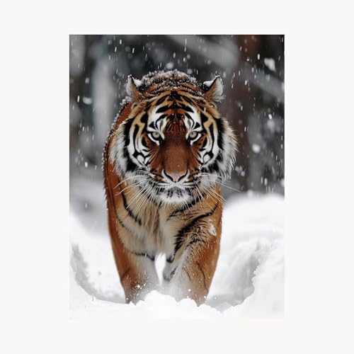 Malen Nach Zahlen Erwachsene Winter Malen Nach Zahlen Kinder Tiger, Basteln Erwachsene Leinwand Bilder 55x40 cm,DIY Set mit Pinsel Acrylfarben Farbe Leinwand, Zimmer Deko Geschenke für Frauen FYH-9012 von FANLIGZU