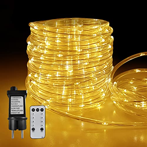 FANSIR 20m LED Lichtschlauc - 200 LED mit Fernbedienung Lichterkette, 8 Modi IP44 Wasserdicht Lichtschlauch, Weihnachten Deko Lichterketten für Innen Außen Garten Fest Party Hochzeit (Warmweiß) von FANSIR