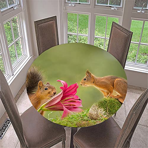 FANSU 3D Runde Tischdecke Abwaschbar, Eichhörnchen Motiv Wasserdicht Elastische Lotuseffekt Tischdecken Fleckschutz Abwischbar Tischtuch für Küchentisch Garten (Blumen Natur,Durchmesser 130cm) von FANSU