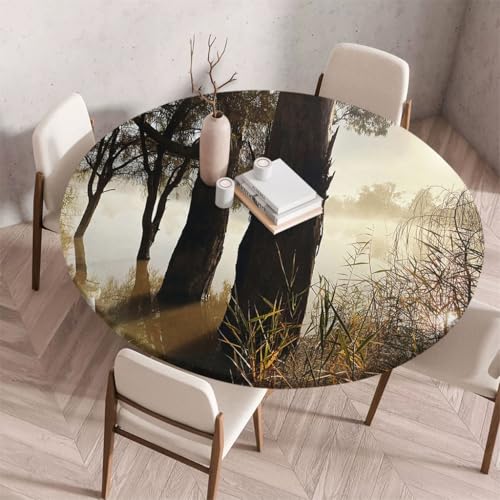FANSU 3D Tischdecke Rund Abwaschbar für Outdoor Gartentischdecke Rund Elastisch Schmutzabweisend für Garten Küche, Esstisch, Parteien -Stil LYFJ (Grauer Wald,60cm) von FANSU