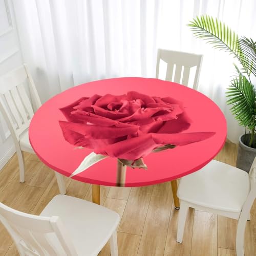 FANSU 3D Tischdecke Rund Garten Abwaschbar für Outdoor Gartentischdecke Blumendrucke Rund Elastisch Schmutzabweisend für Garten Küche, Esstisch, Parteien (Rosenrot,140cm) von FANSU