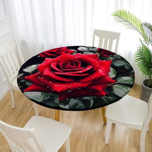FANSU 3D Tischdecke Rund Garten Abwaschbar für Outdoor Gartentischdecke Blumendrucke Rund Elastisch Schmutzabweisend für Garten Küche, Esstisch, Parteien (Rote Rosen,110cm) von FANSU