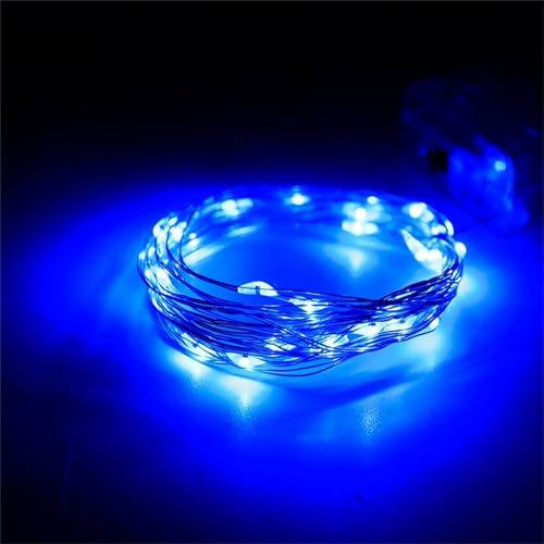 FANSU Bunt Lichterkette USB, Kupferdraht Lichterketten 8 Modi Gartenbeleuchtung, Lichterkette Außen/Innen mit Fernbedienung, Fairy Lights Garten Balkon Hochzeits Party Deko (Blau,2m/20LED) von FANSU