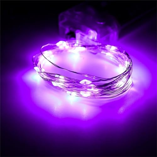 FANSU Bunt Lichterkette USB, Kupferdraht Lichterketten 8 Modi Gartenbeleuchtung, Lichterkette Außen/Innen mit Fernbedienung, Fairy Lights Garten Balkon Hochzeits Party Deko (Lila,2m/20LED) von FANSU