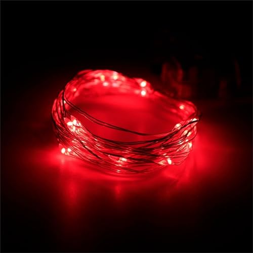 FANSU Bunt Lichterkette USB, Kupferdraht Lichterketten 8 Modi Gartenbeleuchtung, Lichterkette Außen/Innen mit Fernbedienung, Fairy Lights Garten Balkon Hochzeits Party Deko (Rot,2m/20LED) von FANSU