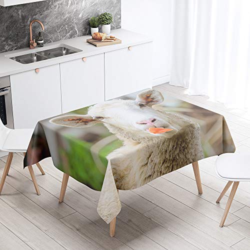 FANSU Rechteck Tischdecke Polyester 3D Tierdruck Stil,Wasserdicht Tischwäsche Pflegeleicht Abwaschbar Tischtuch-Viele Größe Farbe Wählbar (Schaf,100x140cm) von FANSU