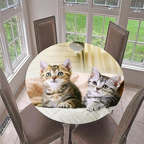 FANSU Runde Tischdecke Elastisch Abwaschbar für Draußen 3D Katze Tischdecken Wasserdicht Tischdecken Lotuseffekt Tischtuch für Outdoor Garten (Durchmesser 110cm,Graue Katze) von FANSU