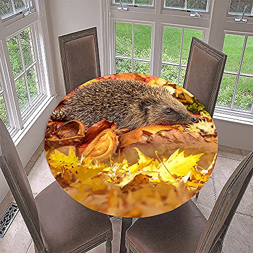 FANSU Runde Tischdecke Garten Abwaschbar, 3D Motiv Serie Polyester Fleckschutz Tischdecken Größe wählbar für Gartentisch, Outdoor in Kiche, Haushalt & Wohnen (Ahorn Igel,Durchmesser 90cm) von FANSU