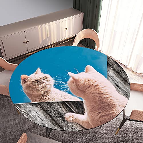FANSU Runde Tischdecke Garten Abwaschbar, 3D Motiv Serie Polyester Fleckschutz Tischdecken für Gartentisch, Outdoor in Kiche, Haushalt & Wohnen (süßes Kätzchen 4,Durchmesser 90cm) von FANSU