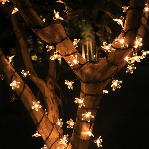 FANSU Solar Lichterkette Aussen, Lichterkette Außen Solar Wasserdicht, 8 Modi, Solarlichterkette Outdoor Wetterfest für Balkon Garten Pavillon Terrasse Vorzelt (Kirschblüte,3m 20LED) von FANSU