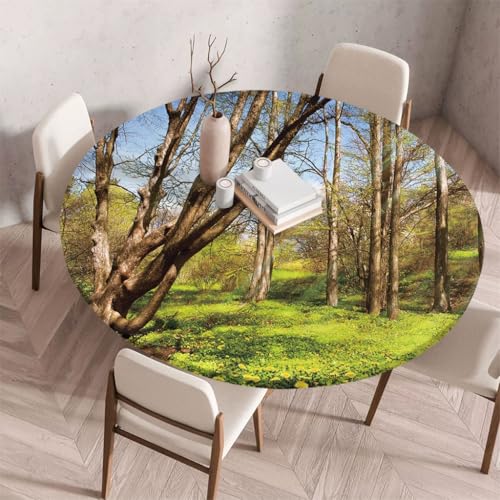FANSU Tischdecke Outdoor Wetterfest Rund mit Gummizug, Rund Tischdecke 3D Muster Waschbar und Abwischbar für Esstisch, Couchtisch, Gartentisch Geeignet (Gras und Bäume,100cm) von FANSU