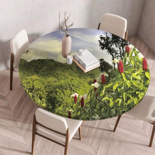 FANSU Tischdecke Outdoor Wetterfest Rund mit Gummizug, Rund Tischdecke 3D Muster Waschbar und Abwischbar für Esstisch, Couchtisch, Gartentisch Geeignet (Tropische Blumen,180cm) von FANSU