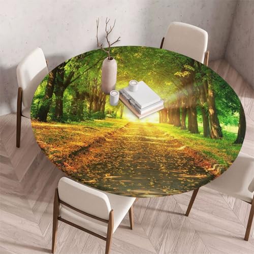 FANSU Tischdecke Outdoor Wetterfest Rund mit Gummizug, Rund Tischdecke mit 3D Muster Waschbar und Abwischbar für Esstisch, Couchtisch, Gartentisch Geeignet (100cm,Abgefallene Blätter) von FANSU