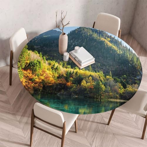 FANSU Tischdecke Outdoor Wetterfest Rund mit Gummizug, Rund Tischdecke mit 3D Muster Waschbar und Abwischbar für Esstisch, Couchtisch, Gartentisch Geeignet (Baumsee,60cm) von FANSU