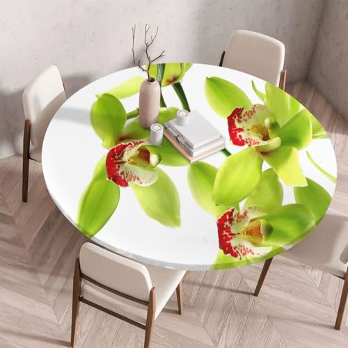 FANSU Tischdecke Outdoor Wetterfest Rund mit Gummizug, Rund Tischdecke mit 3D Muster Waschbar und Abwischbar für Esstisch, Couchtisch, Gartentisch Geeignet (Grüne Hyazinthe,110cm) von FANSU