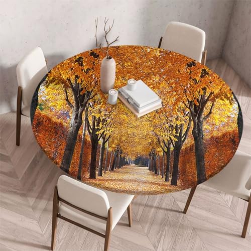 FANSU Tischdecke Outdoor Wetterfest Rund mit Gummizug, Rund Tischdecke mit 3D Muster Waschbar und Abwischbar für Esstisch, Couchtisch, Gartentisch Geeignet (Herbst,140cm) von FANSU