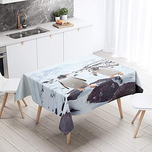 FANSU Tischdecke Wasserdicht Tischwäsche, 3D Pinguin Rechteckige Wasserabweisend Abwaschbar Tischtuch Draussen Küchentischabdeckung für Küche Outdoor Garten Dekoration (Penguin B,60x60cm) von FANSU