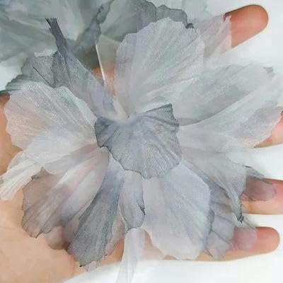 10 Stück Organza-Spitzenbesatz mit Farbverlauf, Applikation zum Selbermachen, Haarnadel, Kleid, Kleidung, Patch, Kopfschmuck, Heimvorhang, Dekoration, A, Graublau, 10 Stück 10 Stück Organza-Spitzenbesatz mit Farbverlauf, Applikation zum Selbermachen, Haarnadel, Kleid, Kleidung, Patch, Kopfschmuck, Heimvorhang, Dekoration, A, Graublau, 10 Stück von FAQIMORAX