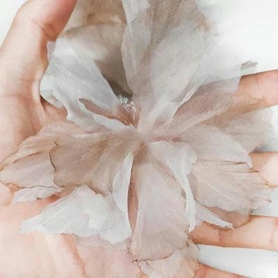 10 Stück Organza-Spitzenbesatz mit Farbverlauf, Applikation zum Selbermachen, Haarnadel, Kleid, Kleidung, Patch, Kopfschmuck, Heimvorhang, Dekoration, A, Hell, 10 Stück von FAQIMORAX