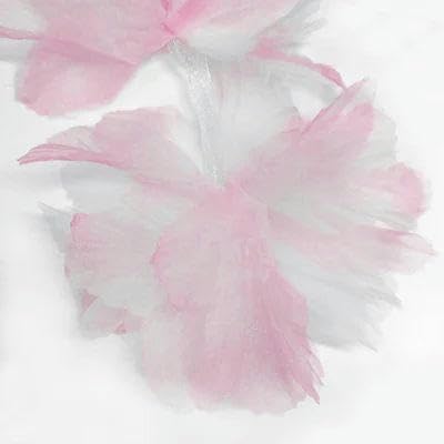 10 Stück Organza-Spitzenbesatz mit Farbverlauf, Applikation zum Selbermachen, Haarnadel, Kleid, Kleidung, Patch, Kopfschmuck, Heimvorhang, Dekorieren, A, 10 Stück von FAQIMORAX