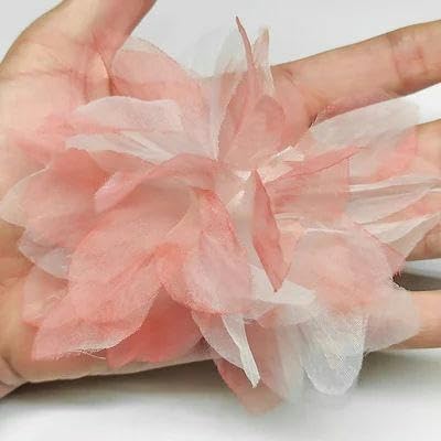 10 Stück Organza-Spitzenbesatz mit Farbverlauf, Applikation zum Selbermachen, Haarnadel, Kleid, Kleidung, Patch, Kopfschmuck, Heimvorhang, Dekorieren, B, Wassermelonenrot, 5 Stück von FAQIMORAX