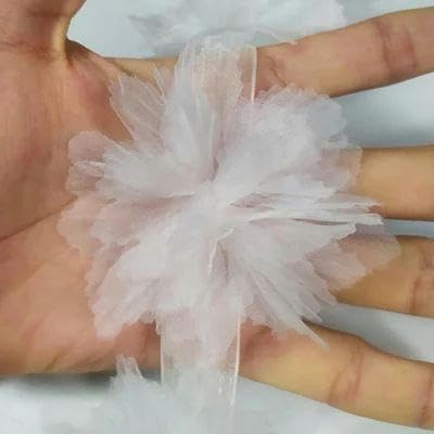 10 Stück Organza-Spitzenbesatz mit Farbverlauf, Applikation zum Selbermachen, Haarnadel, Kleid, Kleidung, Patch, Kopfschmuck, Heimvorhang, Dekorieren, D, Weiß, 5 Stück 10 Stück Organza-Spitzenbesatz mit Farbverlauf, Applikation zum Selbermachen, Haarnadel, Kleid, Kleidung, Patch, Kopfschmuck, Heimvorhang, Dekorieren, D, Weiß, 5 Stück von FAQIMORAX