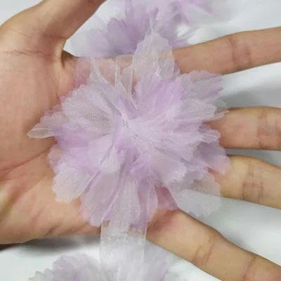 10 Stück Organza-Spitzenbesatz mit Farbverlauf, Applikation zum Selbermachen, Haarnadel, Kleid, Kleidung, Patch, Kopfschmuck, Heimvorhang, Dekorieren, D 55 – 10 Stück von FAQIMORAX