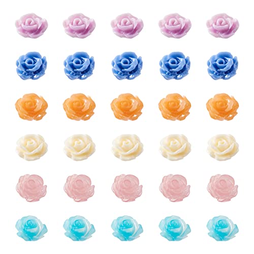 FASHEWELRY 60 Stück 6 Farben Natürliche Muschelperlen Bunte Rose Blume Muschel Lose Perlen für DIY Halskette Armband Schmuck Herstellung von FASHEWELRY