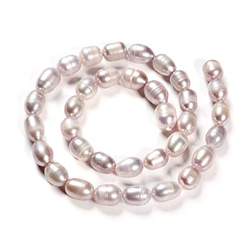 Fashewelry 2 Stränge natürliche ovale runde Süßwasser-Zuchtperlen, lose Perlen, lila Farbe, 9 ~ 11 mm, für DIY Halsketten, Armbänder, Ohrringe, Schmuckherstellung, ca. 35 Stück/Strang Fashewelry 2 Stränge natürliche ovale runde Süßwasser-Zuchtperlen, lose Perlen, lila Farbe, 9 ~ 11 mm, für DIY Halsketten, Armbänder, Ohrringe, Schmuckherstellung, ca. 35 Stück/Strang von FASHEWELRY