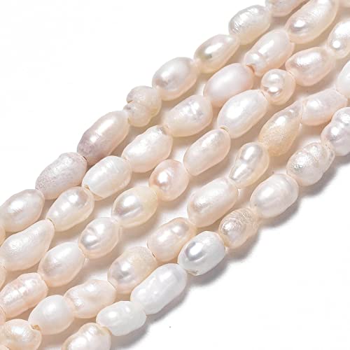 Fashewelry Süßwasser-Zuchtperlen, Reisperlen, für Schmuckherstellung, Bastelprojekte, 3,5-6 mm, 2 Stränge, Muschelfarbe Fashewelry Süßwasser-Zuchtperlen, Reisperlen, für Schmuckherstellung, Bastelprojekte, 3,5-6 mm, 2 Stränge, Muschelfarbe von FASHEWELRY