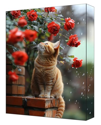 Malen Nach Zahlen Erwachsene Blumen, DIY Malen Nach Zahlen Kinder ab 7 Mit Pinsels und Acrylfarbe, Hobby Erwachsene Kreativ, Knitterfreie Leinwand Kit Als Geschenke, Ohne Rahmen 60 x 80cm Katze G-340 von FASLQQAA
