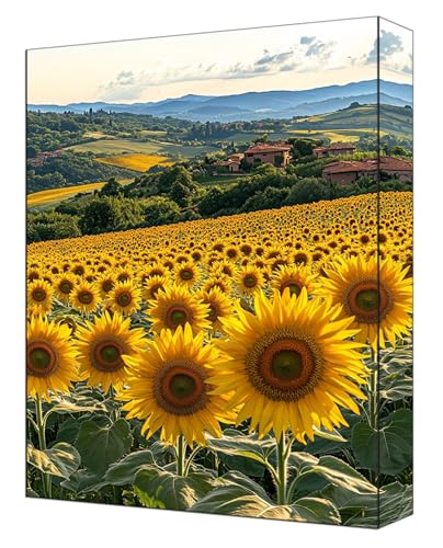 Malen Nach Zahlen Erwachsene Blumen, DIY Malen Nach Zahlen Kinder ab 7 Mit Pinsels und Acrylfarbe, Hobby Erwachsene Kreativ, Knitterfreie Leinwand Kit Ohne Rahmen Wanddeko 40 x 55cm Sonnenblume G-355 von FASLQQAA