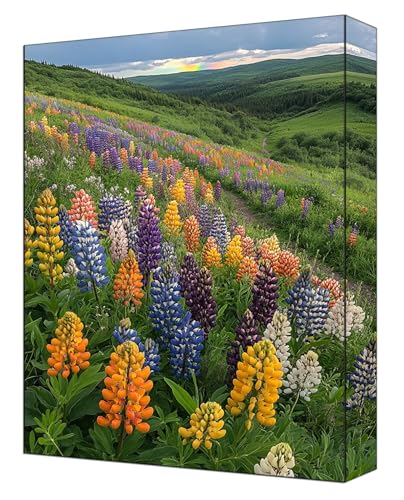Malen Nach Zahlen Erwachsene Blumen, DIY Malen Nach Zahlen Kinder ab 7 Mit Pinsels und Acrylfarbe, Hobby Erwachsene Kreativ, Knitterfreie Leinwand Kit Ohne Rahmen Wanddeko 80 x 110cm ländlich G-354 von FASLQQAA