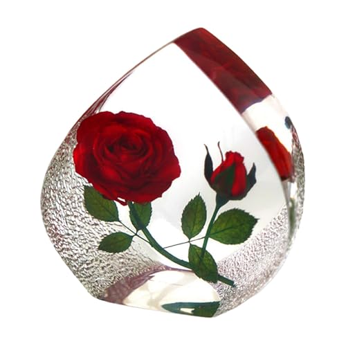 FASSME Blume, Rote, Im Glas Mit Licht, Tragbare Schreibtischdekoration, Sichere Rosen, Echte Rosen, Kunstharz-Kunsthandwerk, Ewiges Harz-Souvenir Für Geburtstag, Hochzeit FASSME Blume, Rote, Im Glas Mit Licht, Tragbare Schreibtischdekoration, Sichere Rosen, Echte Rosen, Kunstharz-Kunsthandwerk, Ewiges Harz-Souvenir Für Geburtstag, Hochzeit von FASSME