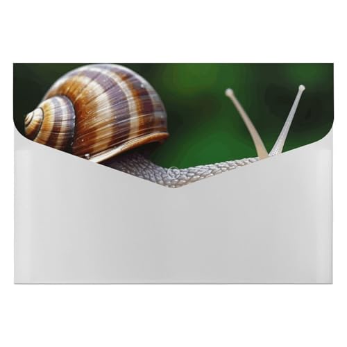 Aktenordner, Kunststoff, Tierschnecke, bedruckt, Aktenordner, Briefgröße, tragbare Ordner, Aktenordner für Büro Aktenordner, Kunststoff, Tierschnecke, bedruckt, Aktenordner, Briefgröße, tragbare Ordner, Aktenordner für Büro von FCTVSKLN