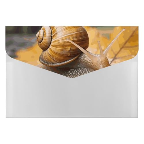 Aktenordner, Kunststoff-Ordner, Schnecke in Blättern, bedruckt, Briefgröße, tragbare Ordner, Aktenordner für Büro Aktenordner, Kunststoff-Ordner, Schnecke in Blättern, bedruckt, Briefgröße, tragbare Ordner, Aktenordner für Büro von FCTVSKLN
