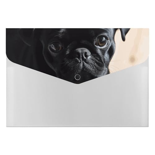 Aktenordner aus Kunststoff, Motiv: Mops, Hund, Welpe, bedruckt, Briefgröße, tragbare Ordner, Organizer für Büro von FCTVSKLN