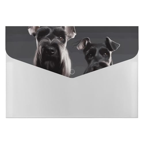 Aktenordner aus Kunststoff, niedlicher Schnauzer-Hund, bedruckt, Briefgröße, tragbare Ordner, Aktenordner für Büro von FCTVSKLN