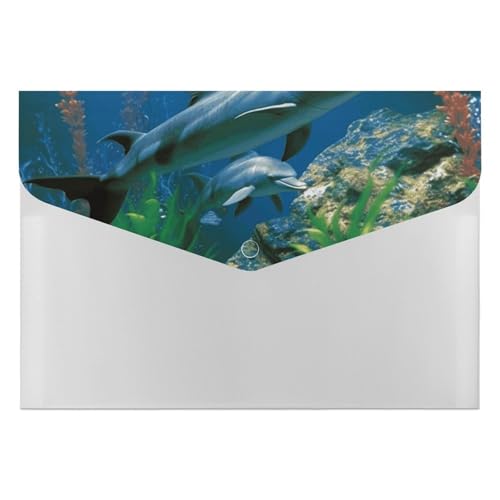 Dateiordner Kunststoff Ordner Aquatische Biologicals Gedruckt Dateiordner Brief Größe Tragbare Ordner Archivieren Organizer für Büro Dateiordner Kunststoff Ordner Aquatische Biologicals Gedruckt Dateiordner Brief Größe Tragbare Ordner Archivieren Organizer für Büro von FCTVSKLN