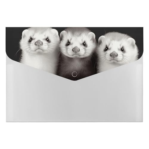 Dateiordner Kunststoff Ordner Frettchen Gedruckt Dateiordner Brief Größe Tragbare Ordner Archivieren Organizer für Büro Dateiordner Kunststoff Ordner Frettchen Gedruckt Dateiordner Brief Größe Tragbare Ordner Archivieren Organizer für Büro von FCTVSKLN