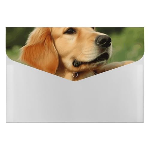 Dateiordner Kunststoff Ordner Hund Golden Retriever Gedruckt Dateiordner Brief Größe Tragbare Ordner Archivieren Organizer für Büro Dateiordner Kunststoff Ordner Hund Golden Retriever Gedruckt Dateiordner Brief Größe Tragbare Ordner Archivieren Organizer für Büro von FCTVSKLN