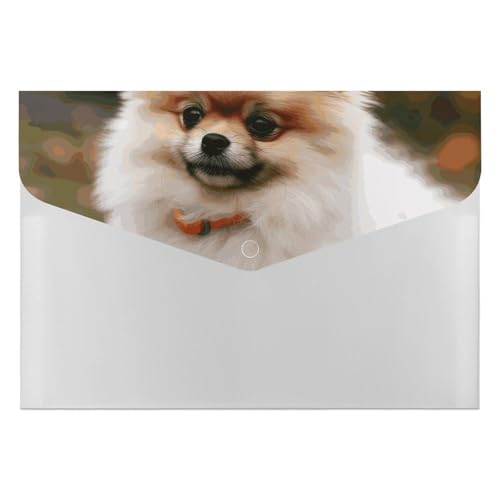 Dateiordner Kunststoff Ordner Kurzhaarige Pommern Hund Gedruckt Dateiordner Brief Größe Tragbare Ordner Archivieren Organizer für Büro Dateiordner Kunststoff Ordner Kurzhaarige Pommern Hund Gedruckt Dateiordner Brief Größe Tragbare Ordner Archivieren Organizer für Büro von FCTVSKLN