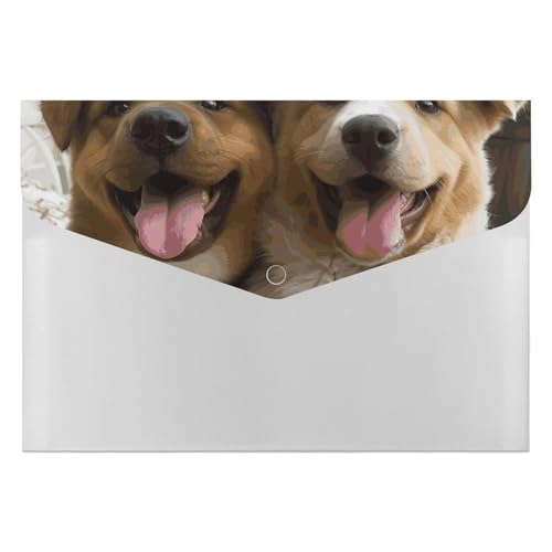 Dateiordner Kunststoff Ordner Lustige Hunde Gedruckt Dateiordner Letter Größe Tragbare Ordner Archivieren Organizer für Büro Dateiordner Kunststoff Ordner Lustige Hunde Gedruckt Dateiordner Letter Größe Tragbare Ordner Archivieren Organizer für Büro von FCTVSKLN