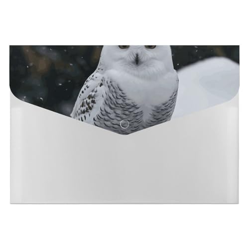 Dateiordner Kunststoff Ordner Schnee Eule Gedruckt Dateiordner Brief Größe Tragbare Ordner Archivieren Organizer für Büro Dateiordner Kunststoff Ordner Schnee Eule Gedruckt Dateiordner Brief Größe Tragbare Ordner Archivieren Organizer für Büro von FCTVSKLN