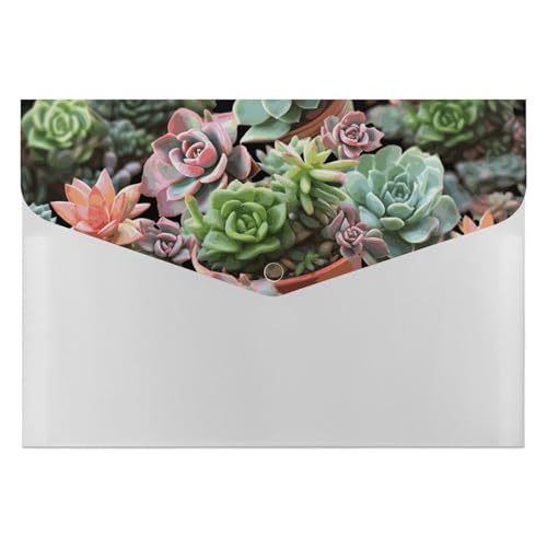 Dateiordner Kunststoff Ordner Sukkulenten Gedruckt Dateiordner Brief Größe Tragbare Ordner Archivieren Organizer für Büro Dateiordner Kunststoff Ordner Sukkulenten Gedruckt Dateiordner Brief Größe Tragbare Ordner Archivieren Organizer für Büro von FCTVSKLN